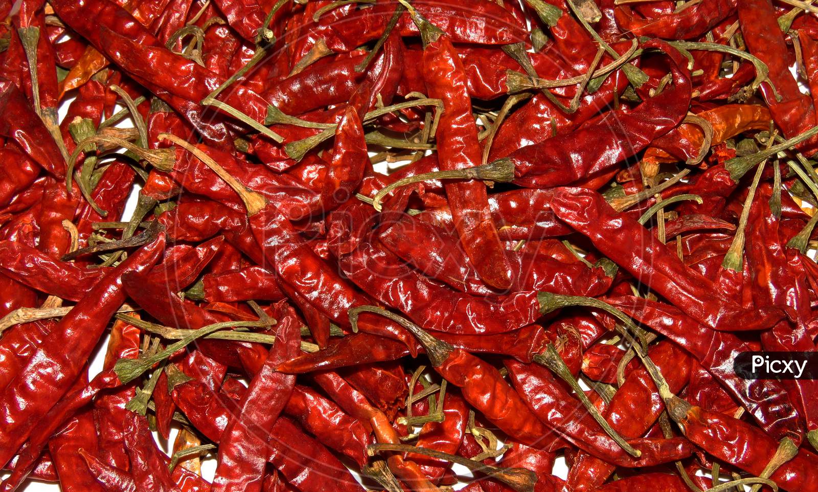 Red hot chili peppers Background,Isolated Red hot chili peppers.