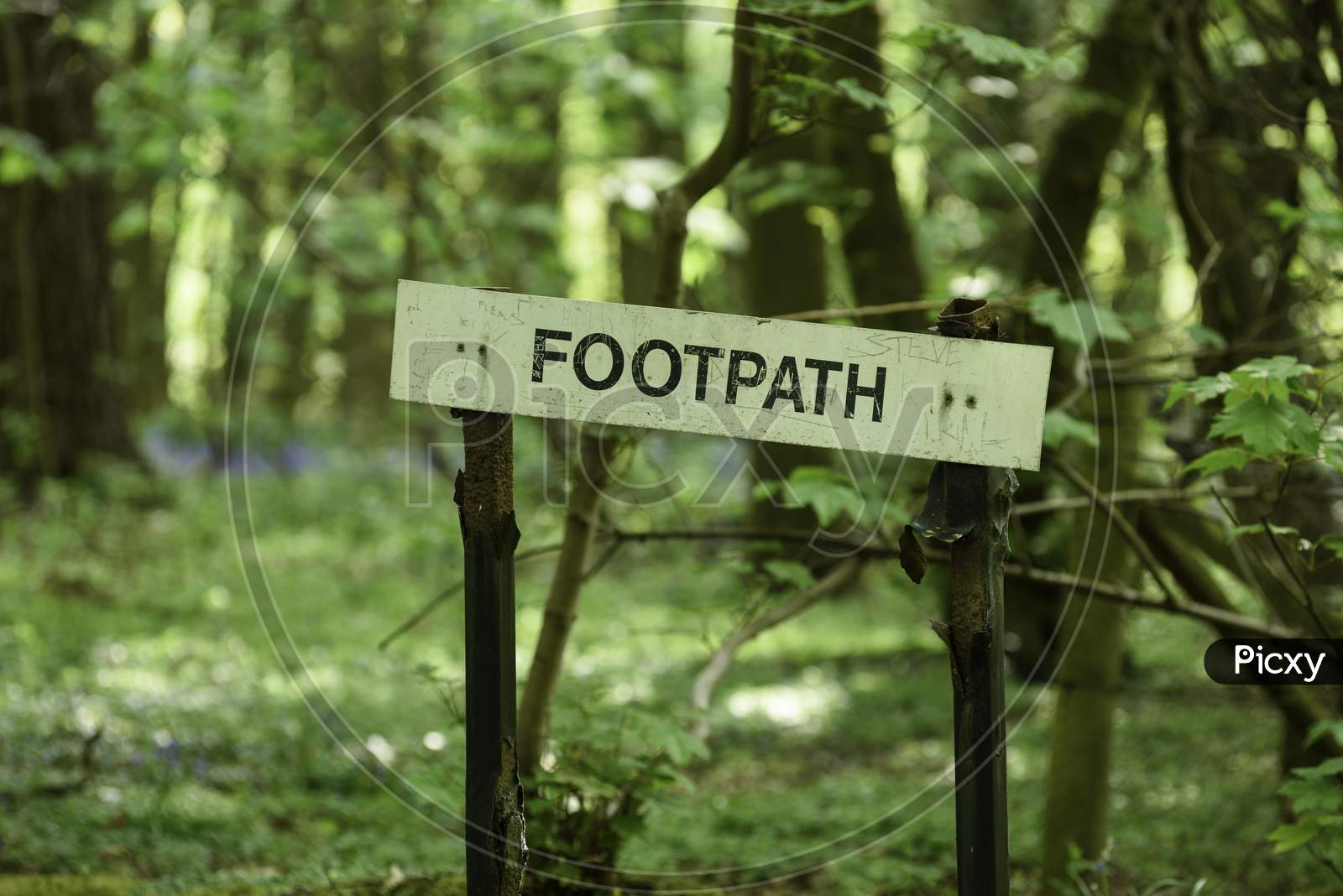 Springtime Woodlands Footpath Sign.