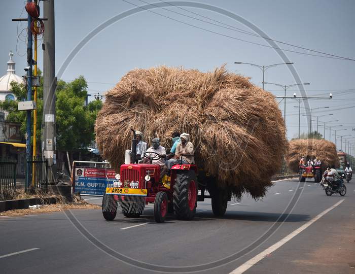 Farmers Carry A Pile Of Paddy Straw Loaded On A Tractor During The Nationwide Lockdown, Imposed In The Wake Of Coronavirus Pandemic, In Gannavaram.