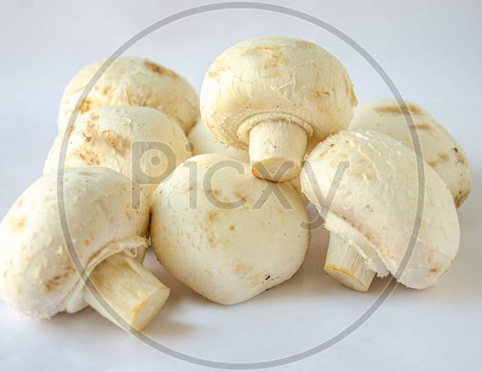 Mushrooms shot against a white background.