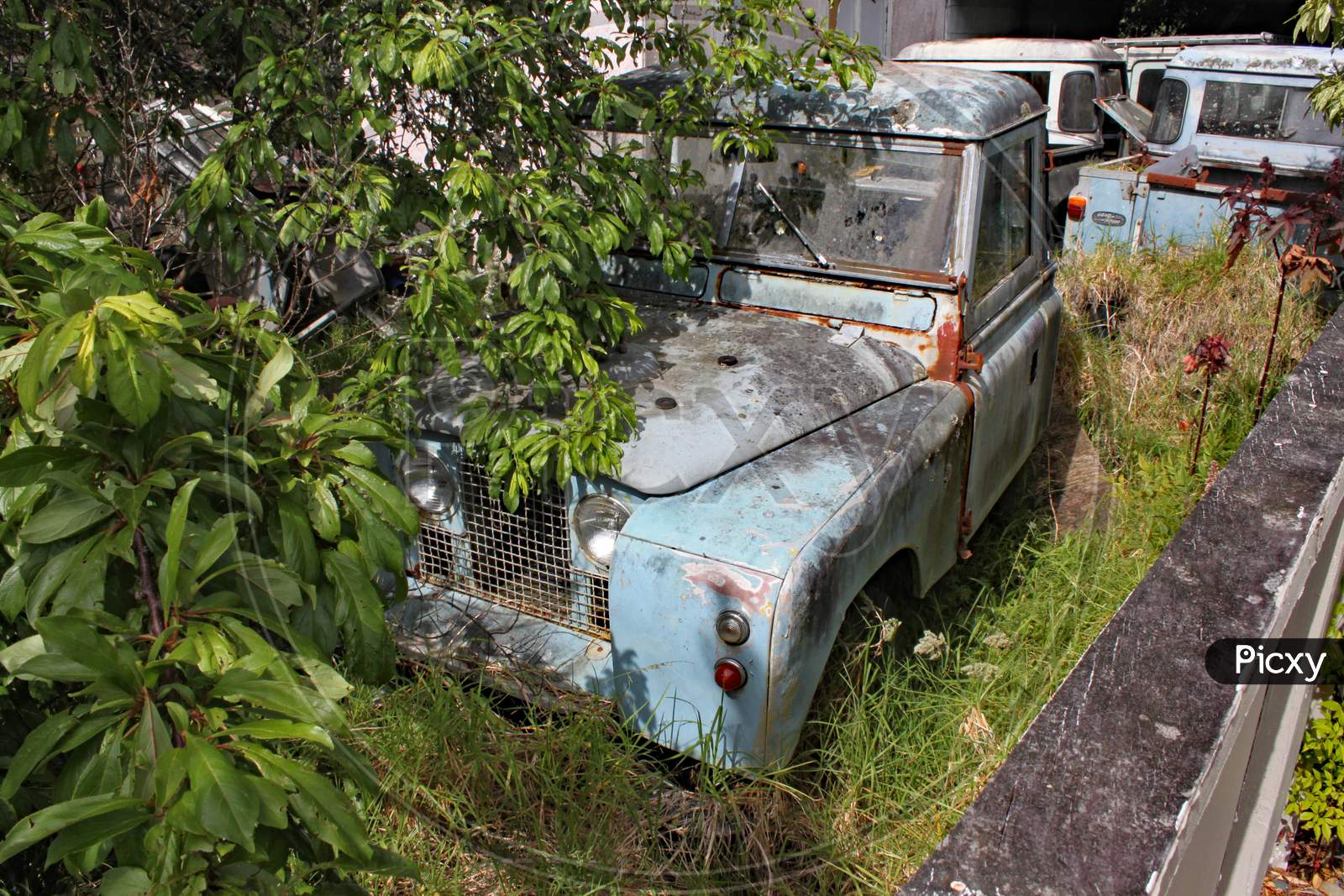 A Collection Of Old Rusty Land Rover Defenders In A Garden With Trees And Bushes Growing Around Them