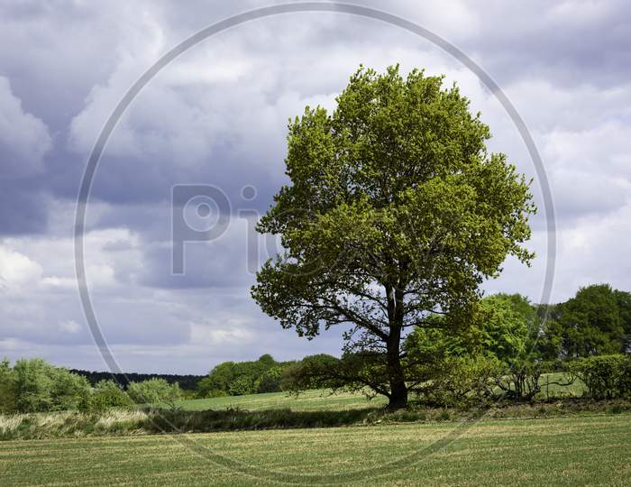 English Spring Landscape Rural Countryside.