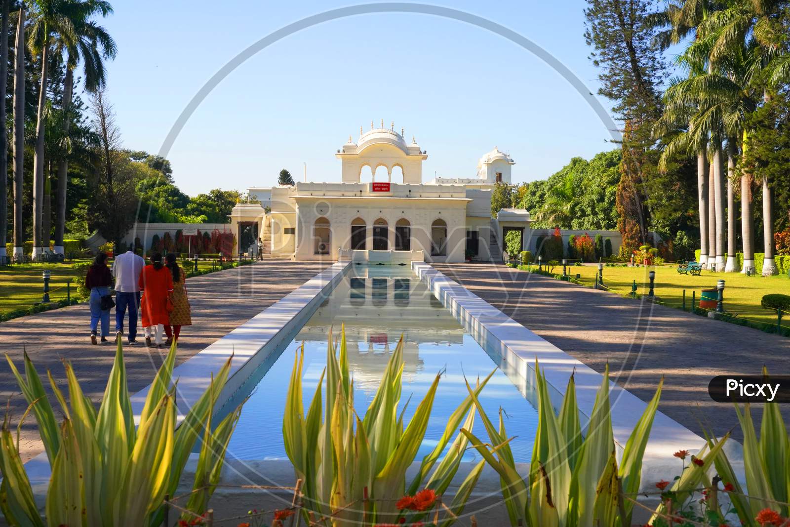 Water fountains, trees and colorful marigold flowers at Pinjore Gardens Haryana