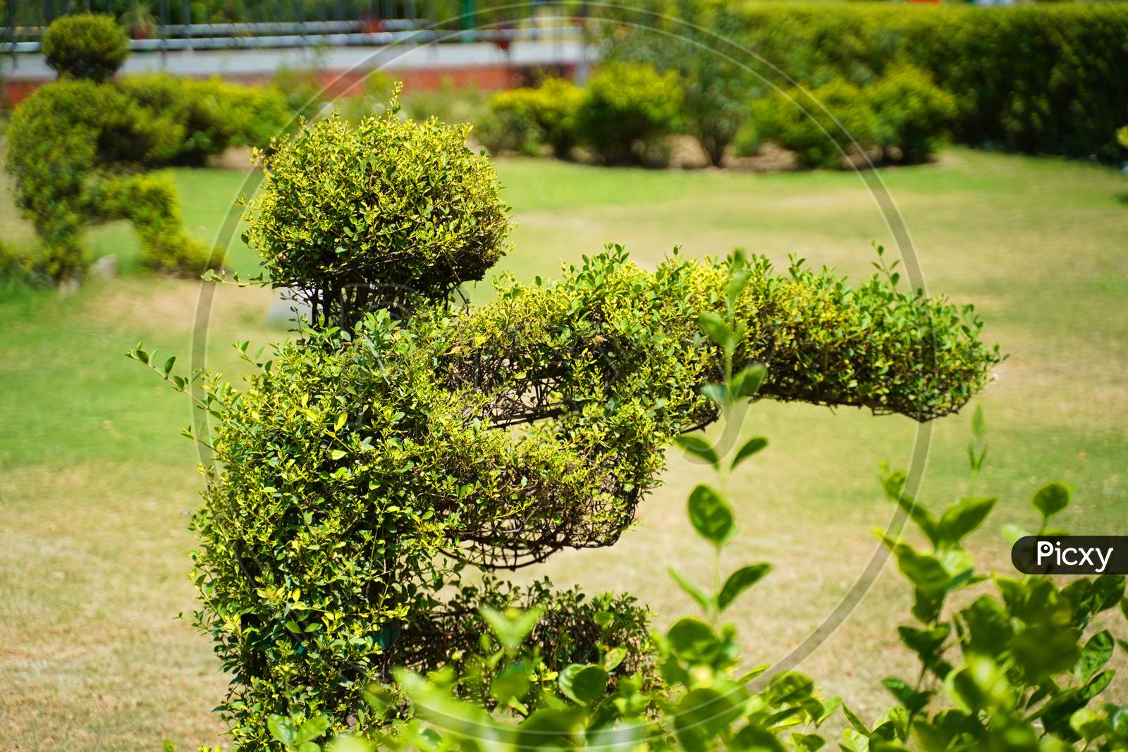 Image Of Jallianwala Bagh Is A Historic Garden And Memorial Of National Importance In Amritsar India Preserved In The Memory Of Those Wounded And Killed In The Jallianwala Bagh Massacre That Occurred