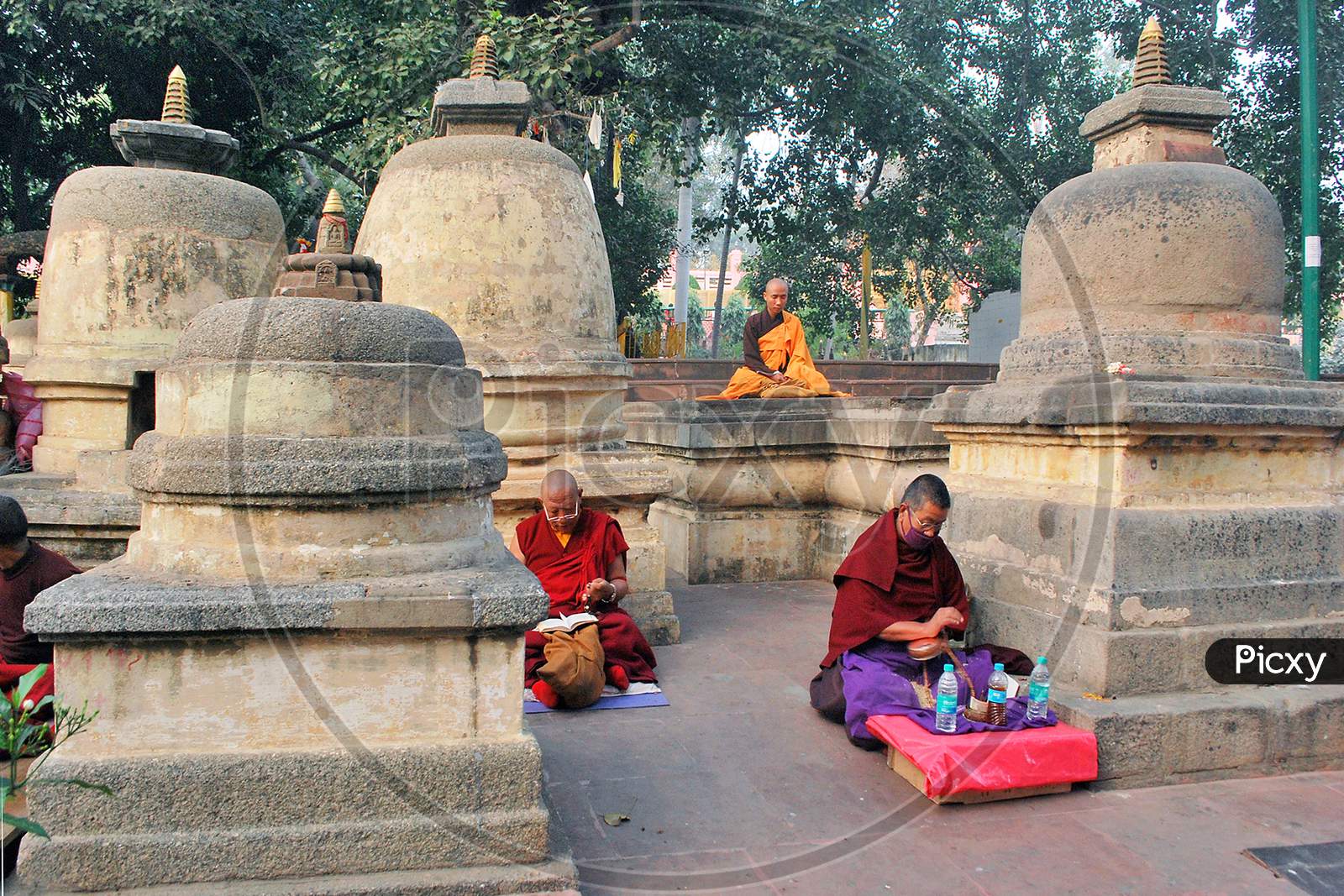 three lamas chanting in front of body briksha at mahabodhi temple bodh gaya bihar.