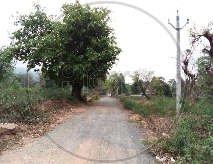 A village path