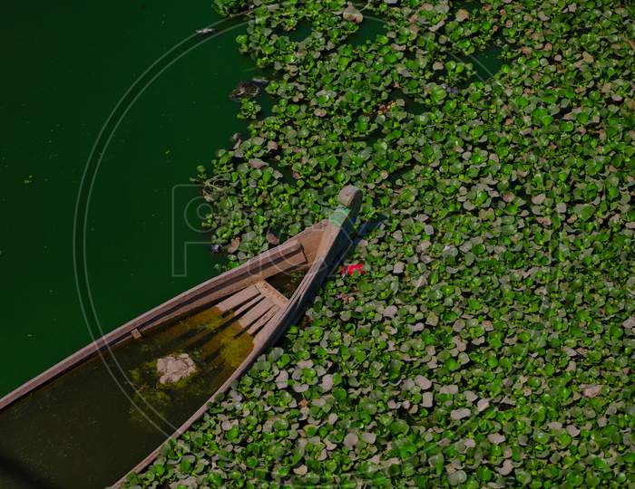 A Broken Boat in a Lake filled with Water