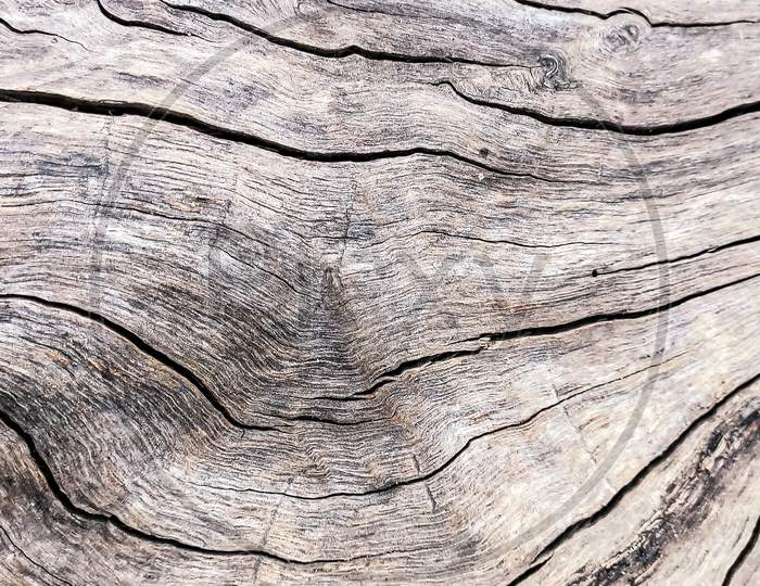 crack marks on a wooden trunk