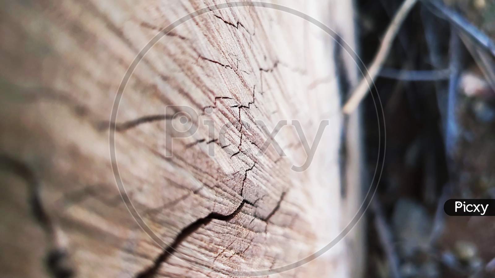Crack marks on wooden surface