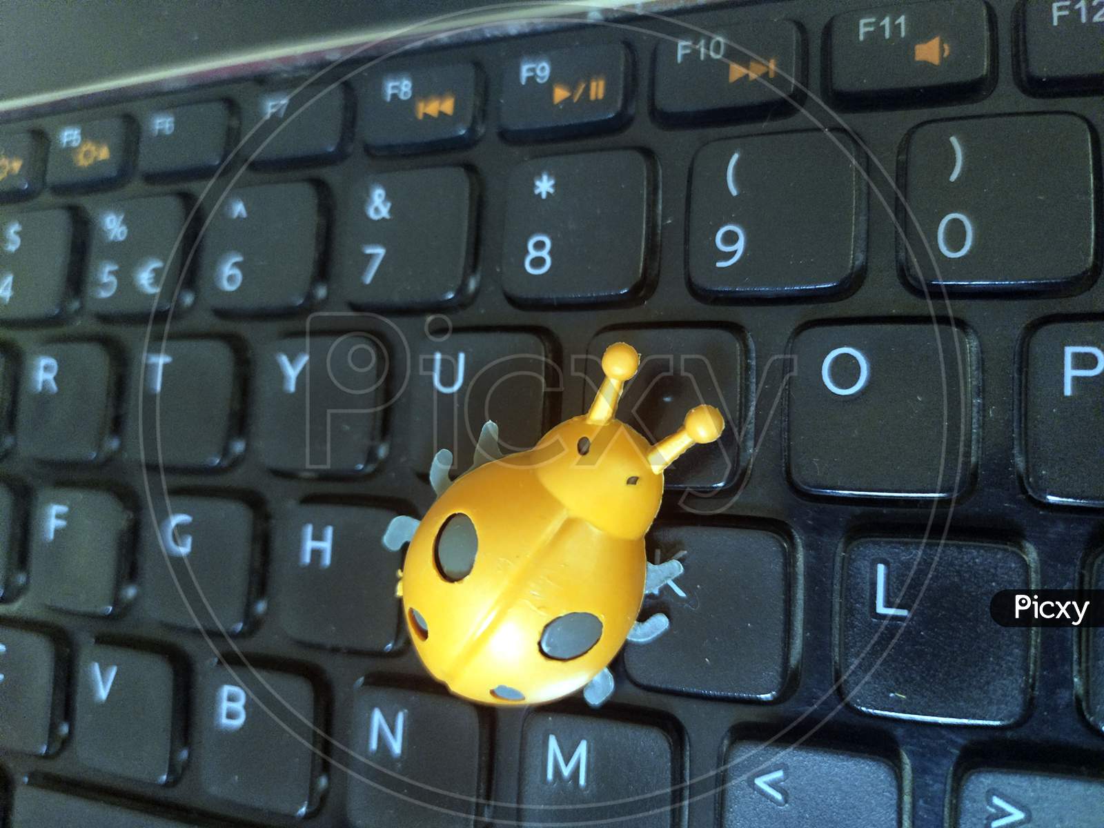a plastic leady bug on black  laptop keyboard
