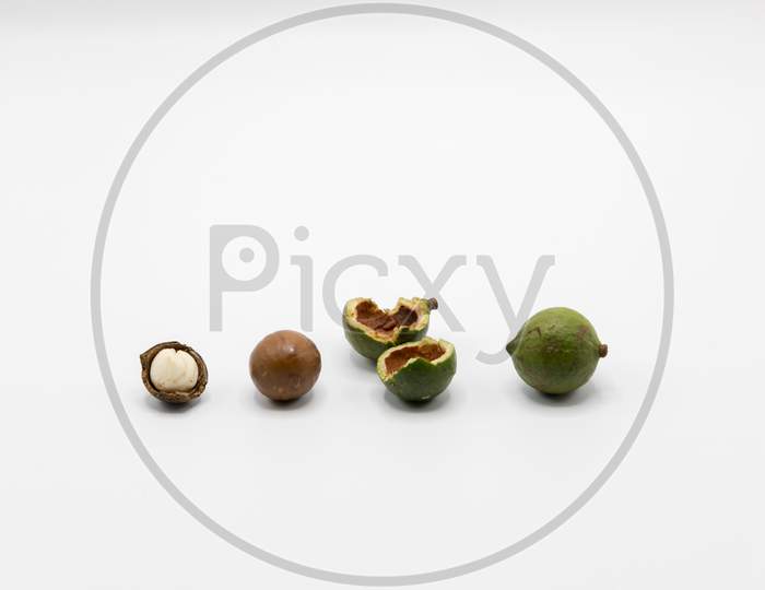 Composition with organic Macadamia nuts on white background
