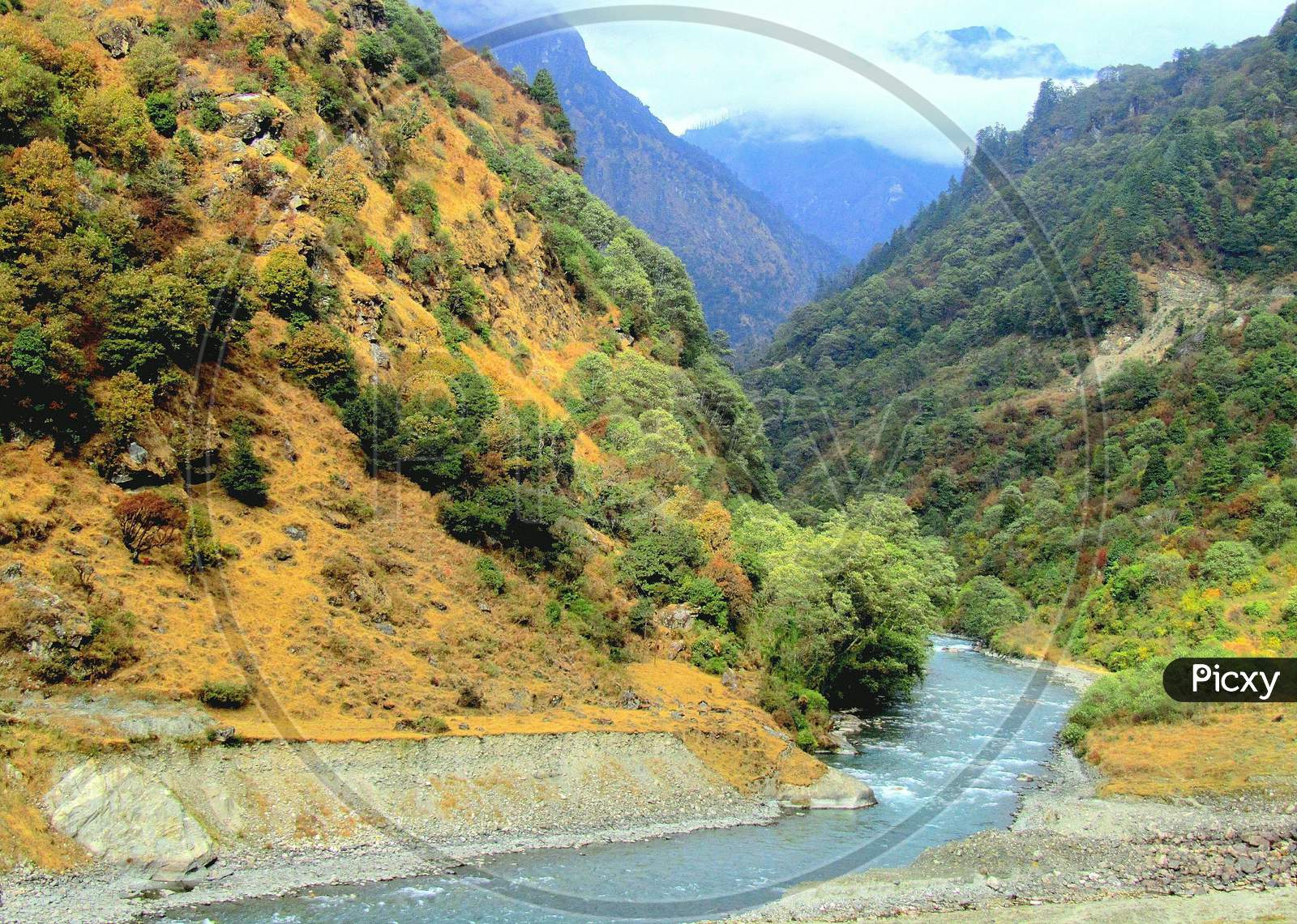 Hills of Jang, Arunachal Pradesh