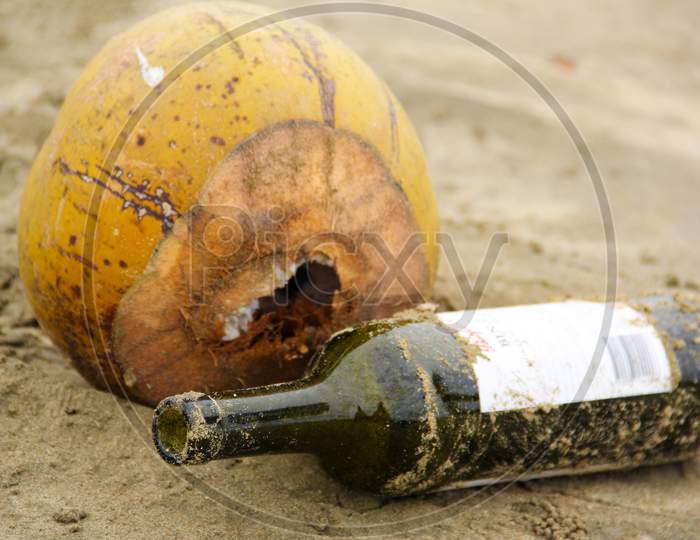 A Wine bottle with Coconut on the Seashore
