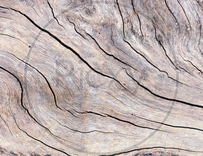 Crack marks on a wooden trunk