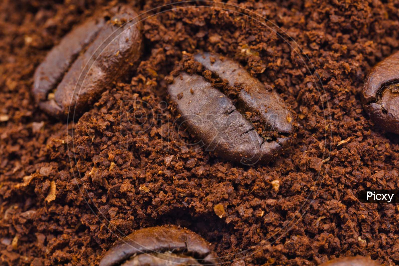 Close up shot of Coffee Beans with Coffee Powder