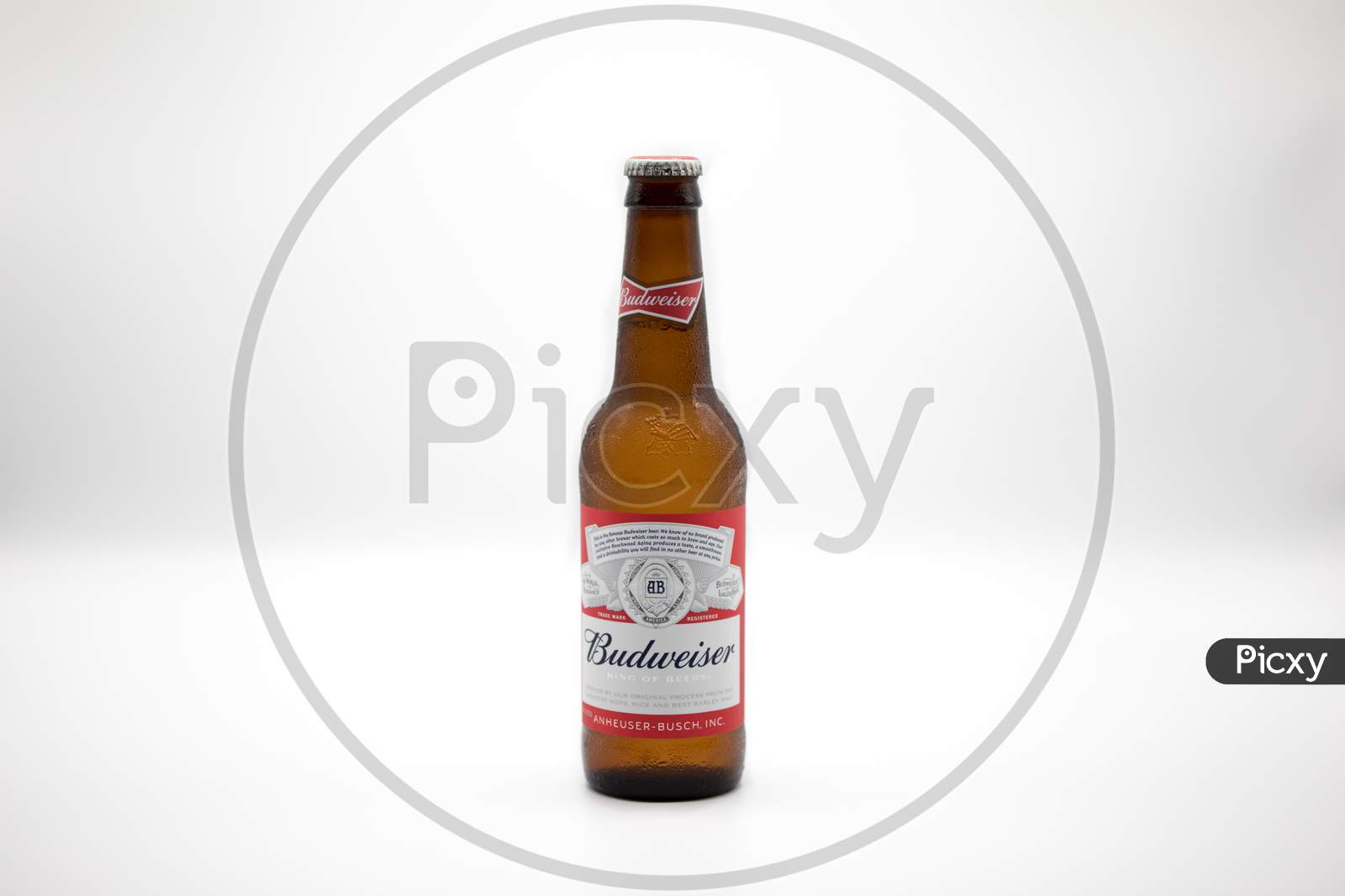 Bottle of Budweiser beer on white background