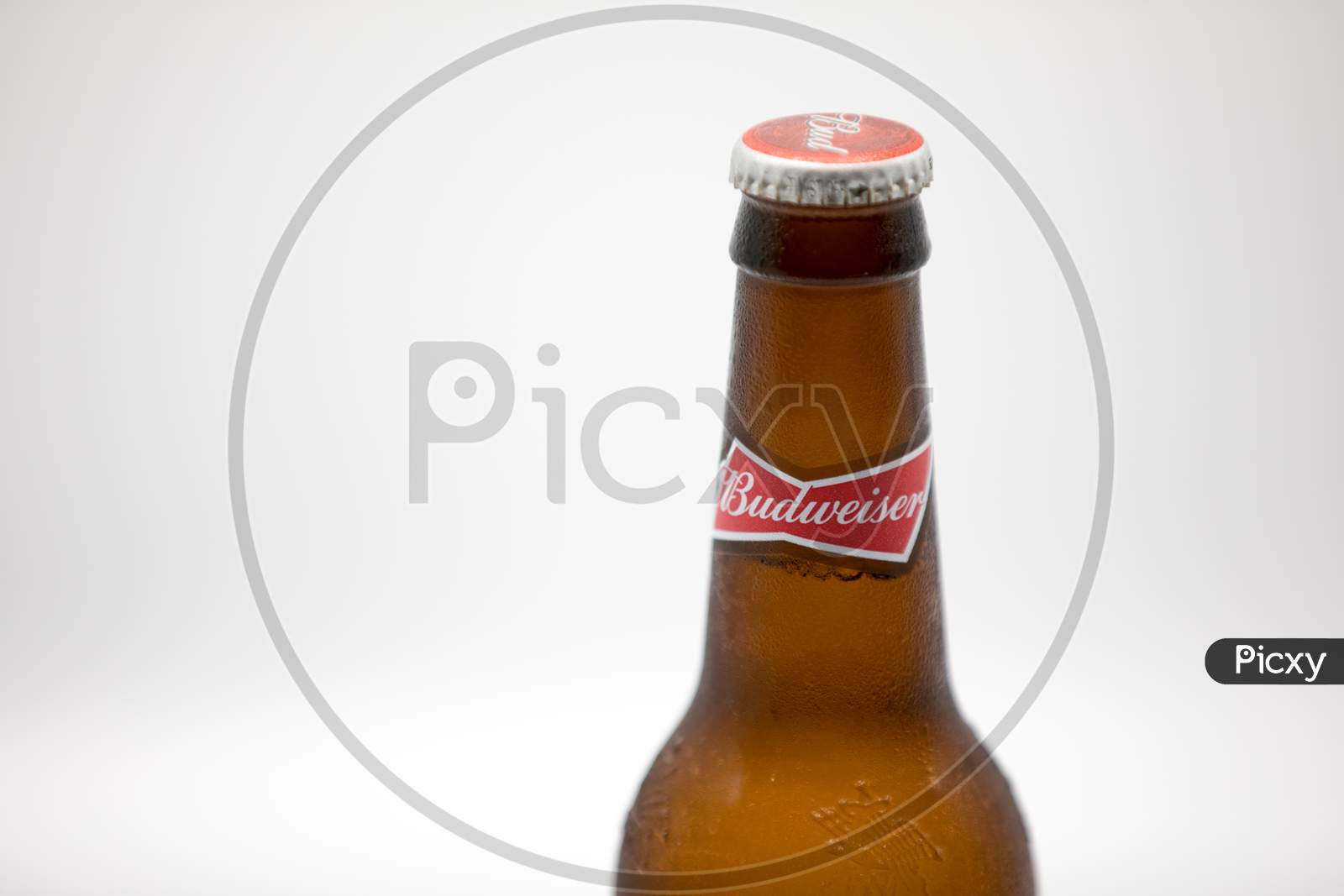 Bottle of Budweiser beer on white background