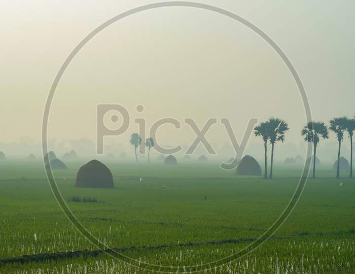 A beautiful village agriculture scenery
