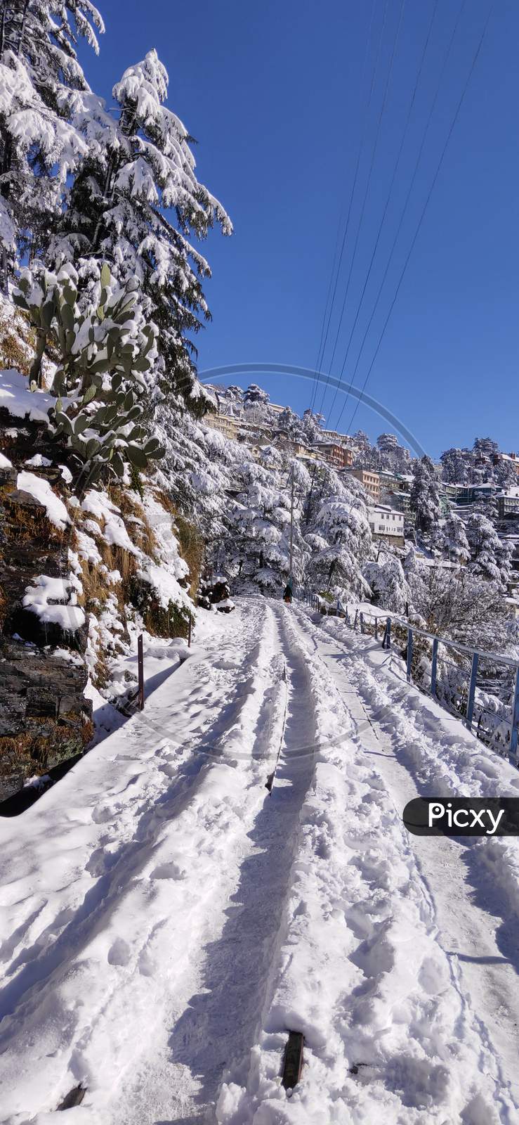 A Beautiful View of Shimla After Snowfall