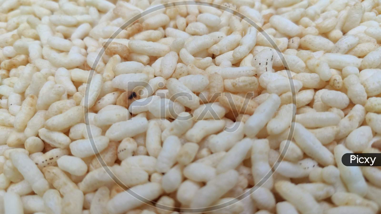 White puffed rice corn