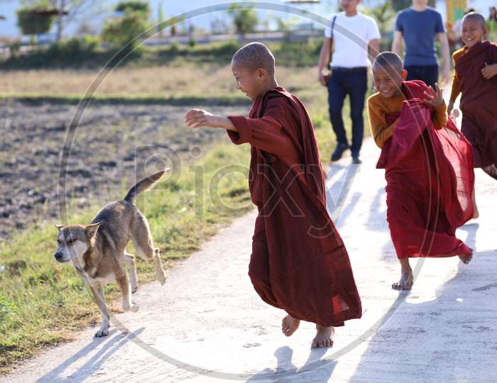 A couple of Young Buddhists chasing a Dog