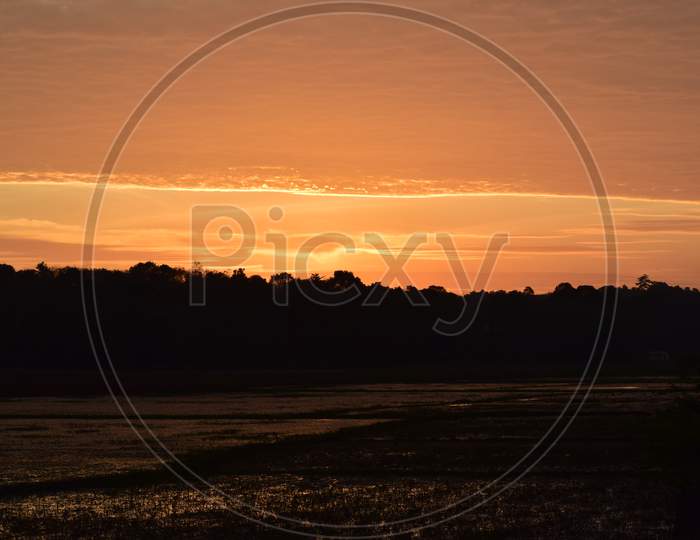 sunset over paddyfield