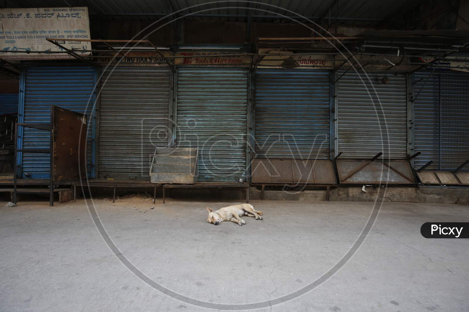 A dog sleeps outside shuttered shops in a market during the nationwide lockdown to stop the spread of Coronavirus (COVID-19) in Bangalore, India, May 01, 2020.