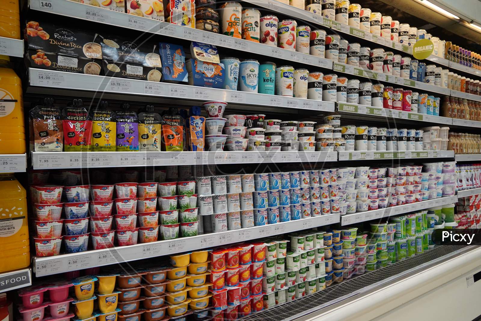 Variety Of Yogurt In Shelf In Shop. Greek, Plain, Flavored, Fruit Yogurt. Interior View Of Huge Fridge With Various Brand Foods And Drinks. Yogurt And Dairy Product Sold. India