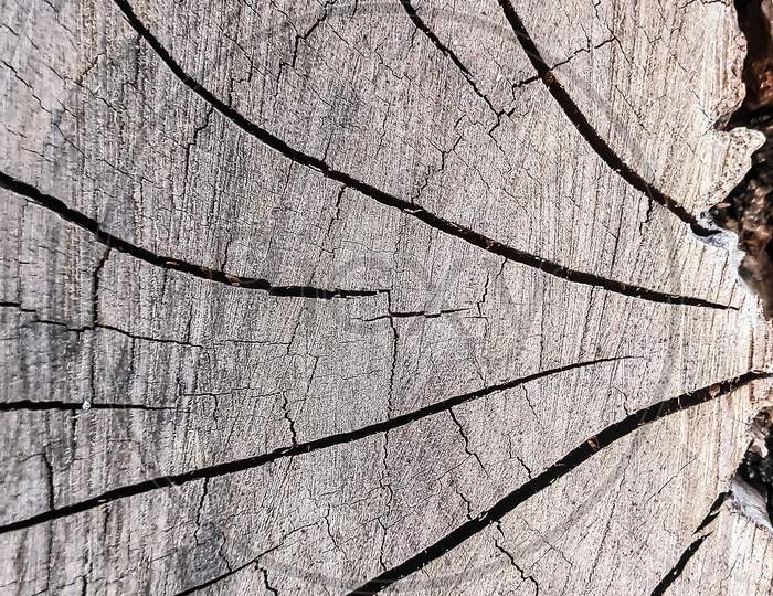 crack marks on a wooden surface