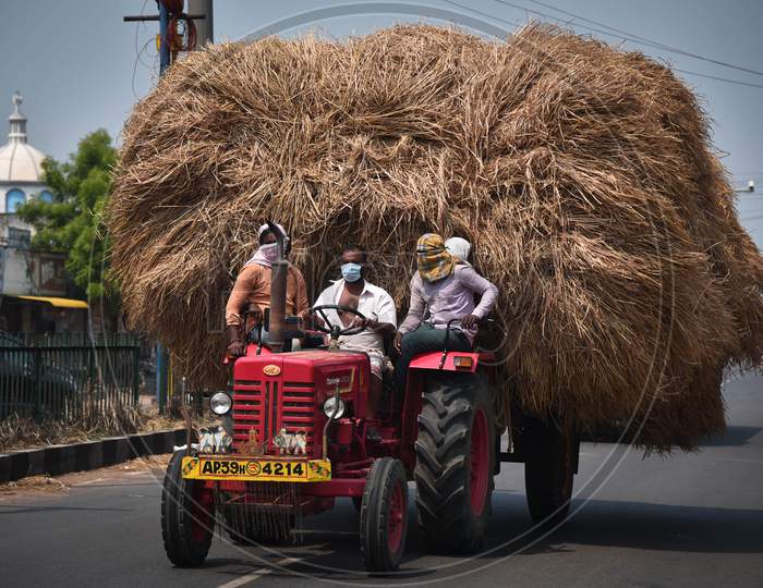 Farmers Wearing Protective Face Masks Carry A Pile Of Paddy Straw, Loaded On A Tractor During The Nationwide Lockdown Imposed In The Wake Of Coronavirus Pandemic, In Gannavaram.