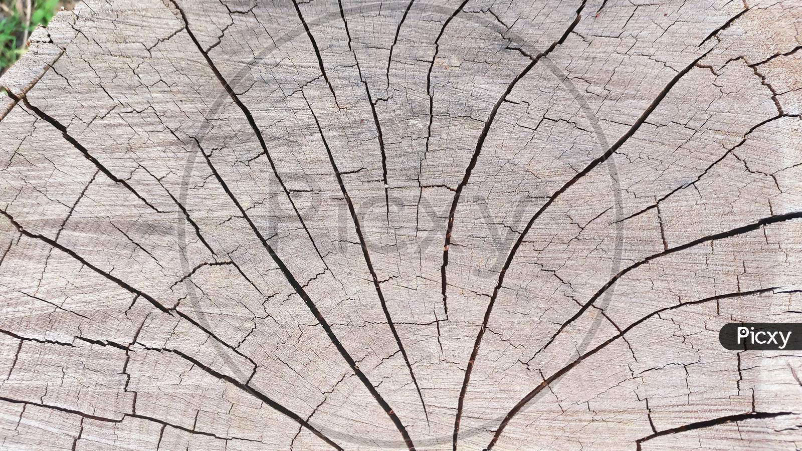 Crack marks on wooden surface