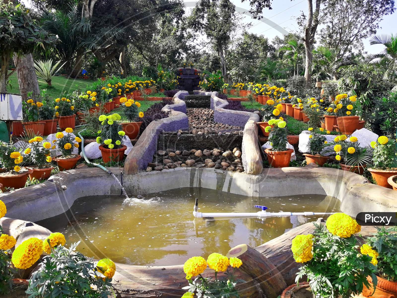 A Beautiful Garden With Full Of Marie Gold Flowers And Red Flowers And An Artificial Fountain.