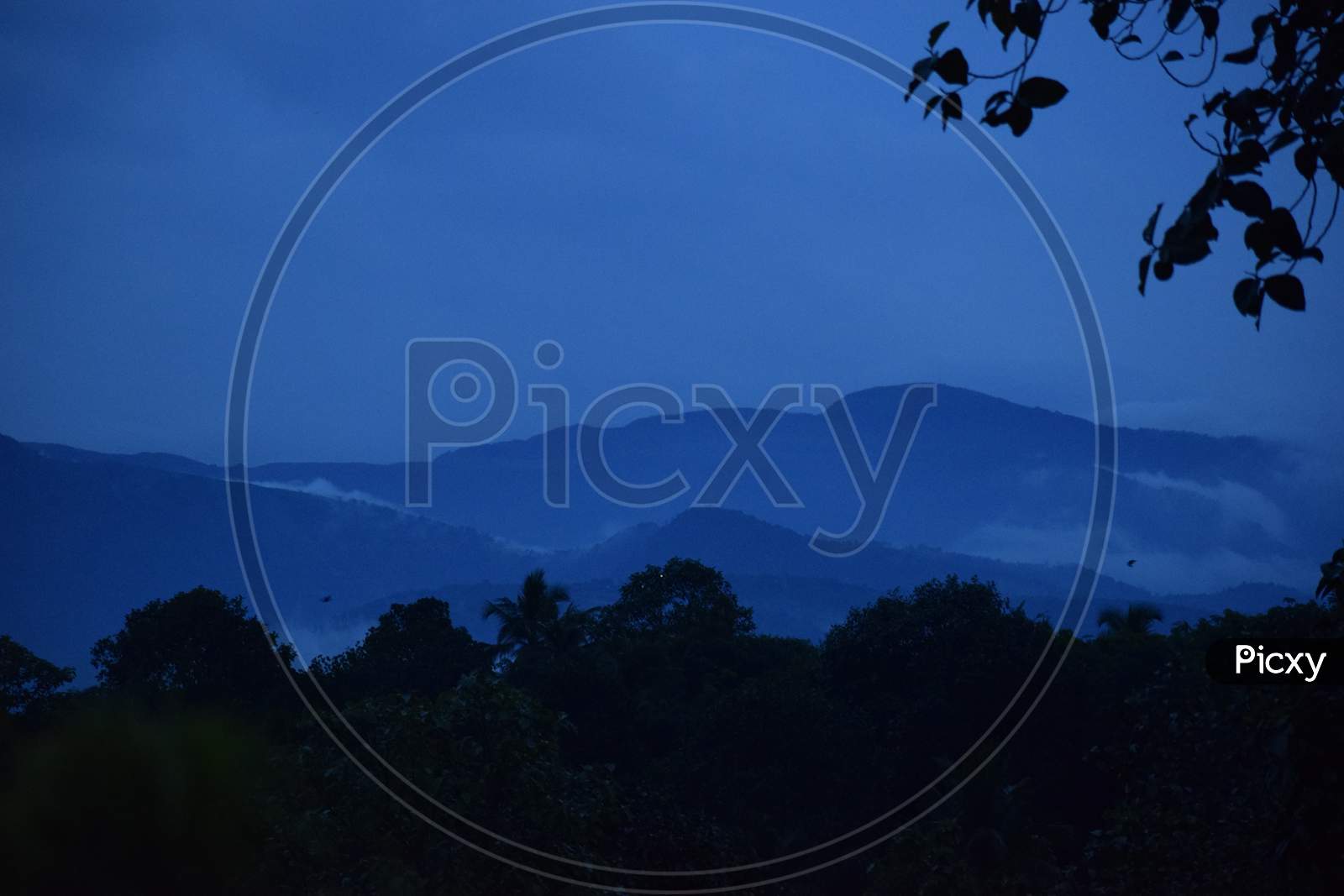blue moon night at vagamon hills in kerala