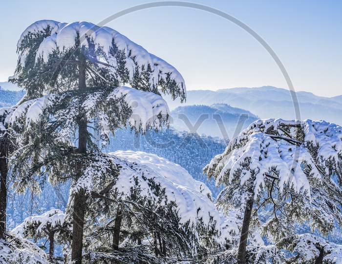 A Beeautiful View of Shimla After Snowfall