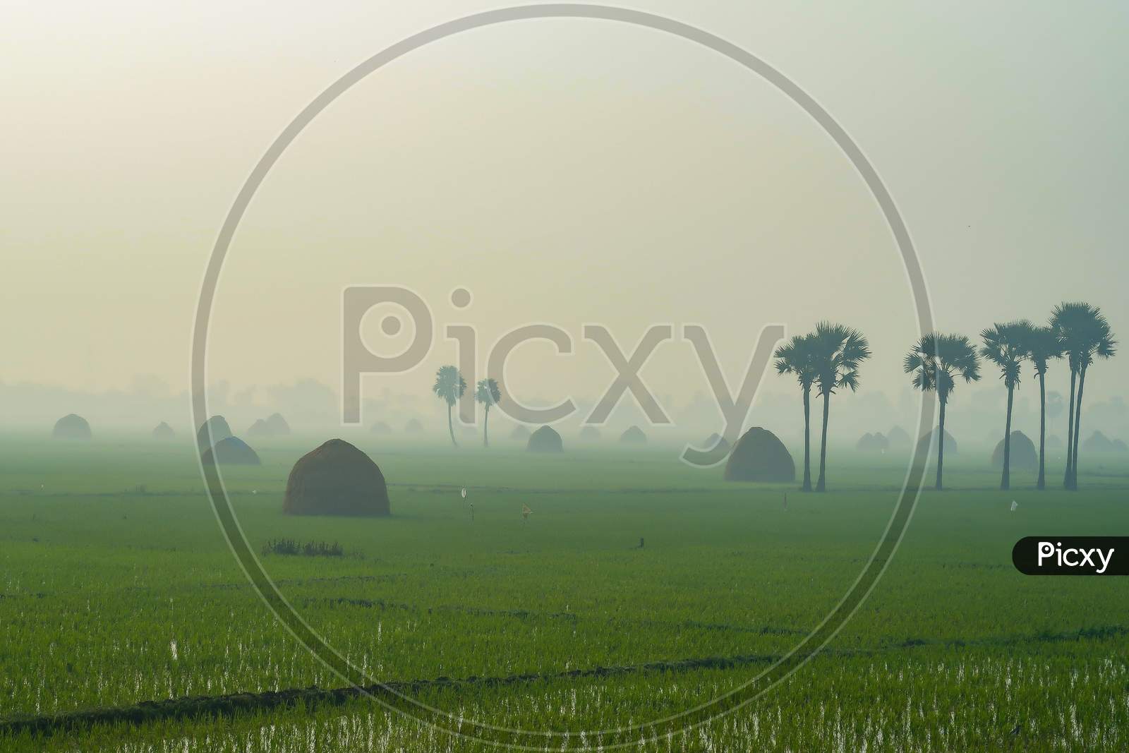 A beautiful village agriculture scenery