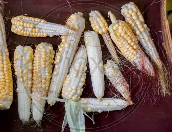 Flint Corn Is Named For Its Hard Kernels, Which Come In A Multitude Of Colors