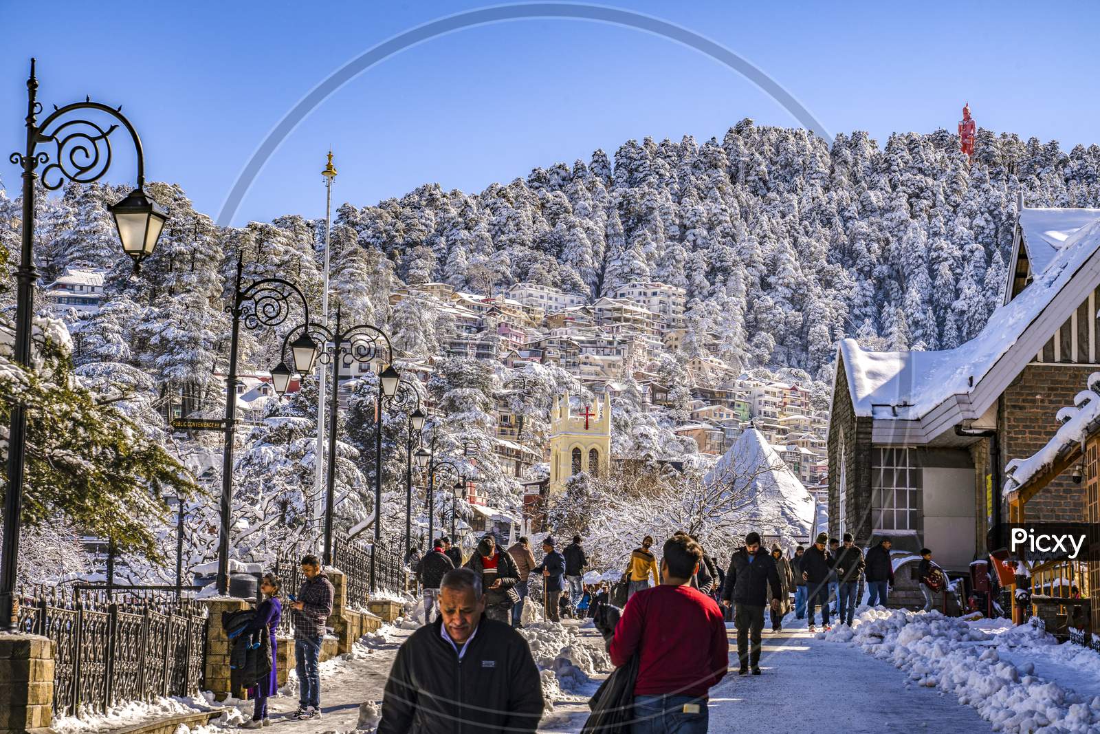 Photograph | The Mall. Shimla, India | Science Source Images