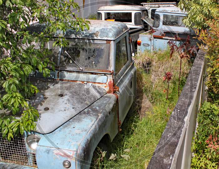 A Collection Of Old Rusty Land Rover Defenders In A Garden With Trees And Bushes Growing Around Them