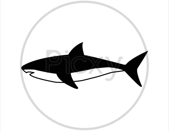 shark icon,vector best flat shark icon.