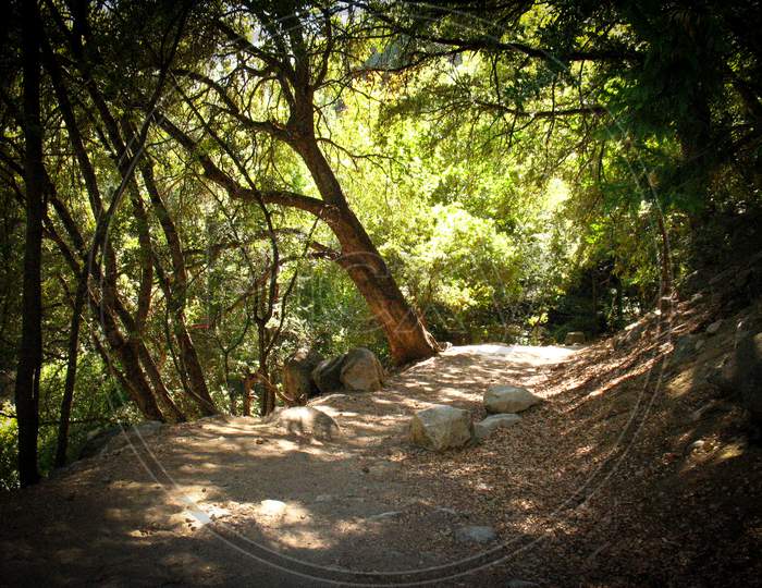 Hike Path Along Hetch Hetchy Reservoir, California, Usa