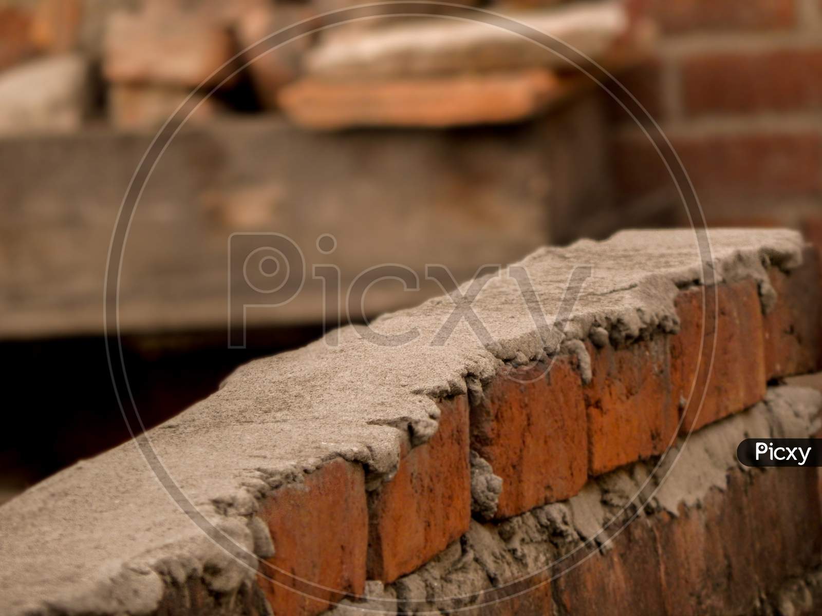 Cemented bricked wall with foreground in focus.