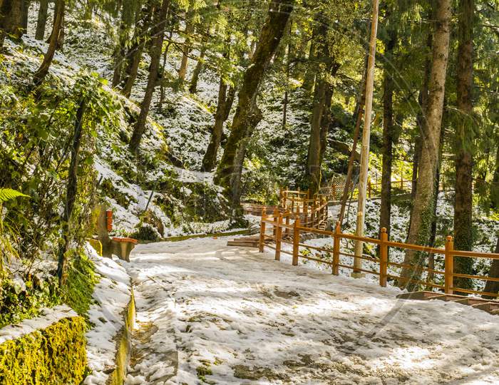 A Beautiful View of Shimla After Snowfall
