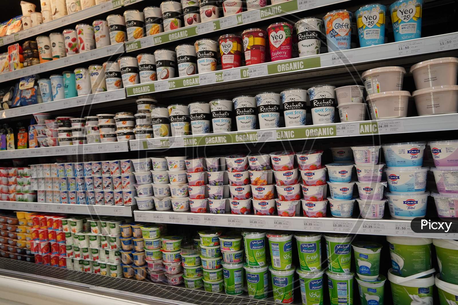 Variety Of Yogurt In Shelf In Shop. Greek, Plain, Flavored, Fruit Yogurt. Interior View Of Huge Fridge With Various Brand Foods And Drinks. Yogurt And Dairy Product Sold. India