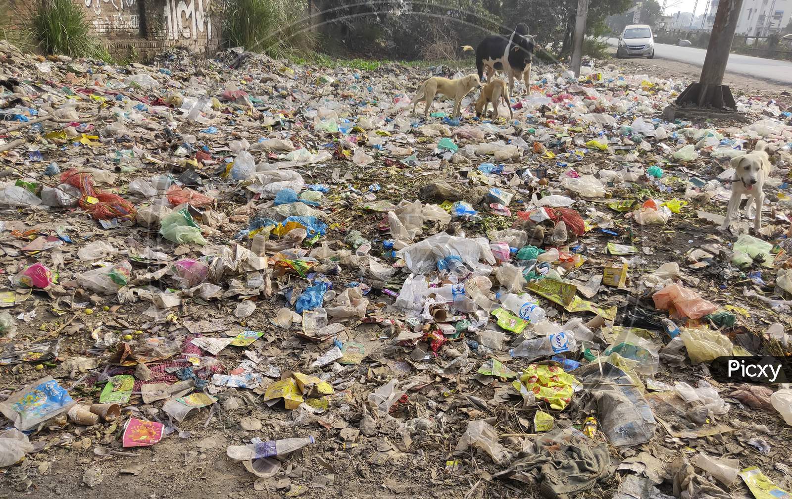 Plastic pollution in India