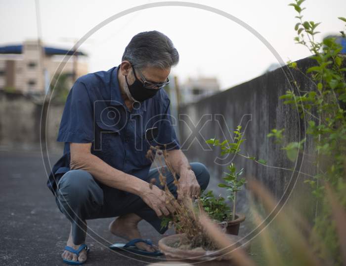 Portrait of an Indian old man wearing corona preventive mask gardening on the rooftop in home isolation. Indian lifestyle, disease and home quaratine.