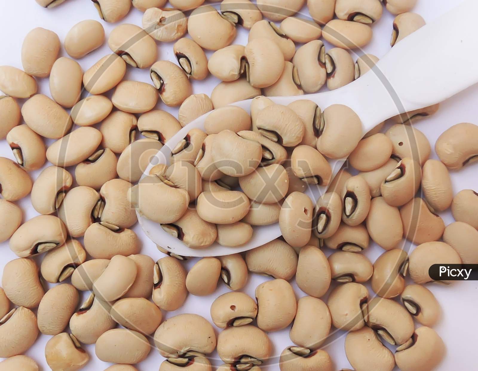 Black eyed beans or Lobia