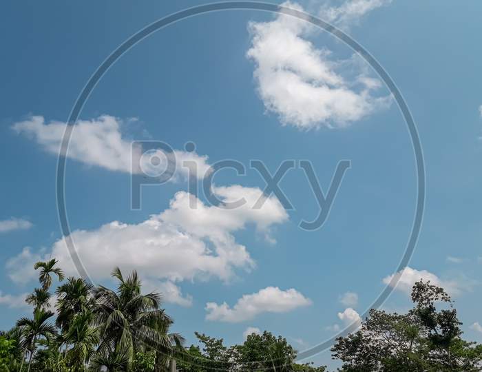 Blue sky with some clouds and trees witch is a beautiful landscape picture