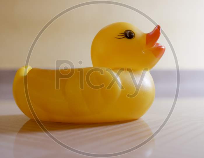 Closeup shot of a small rubber ducky