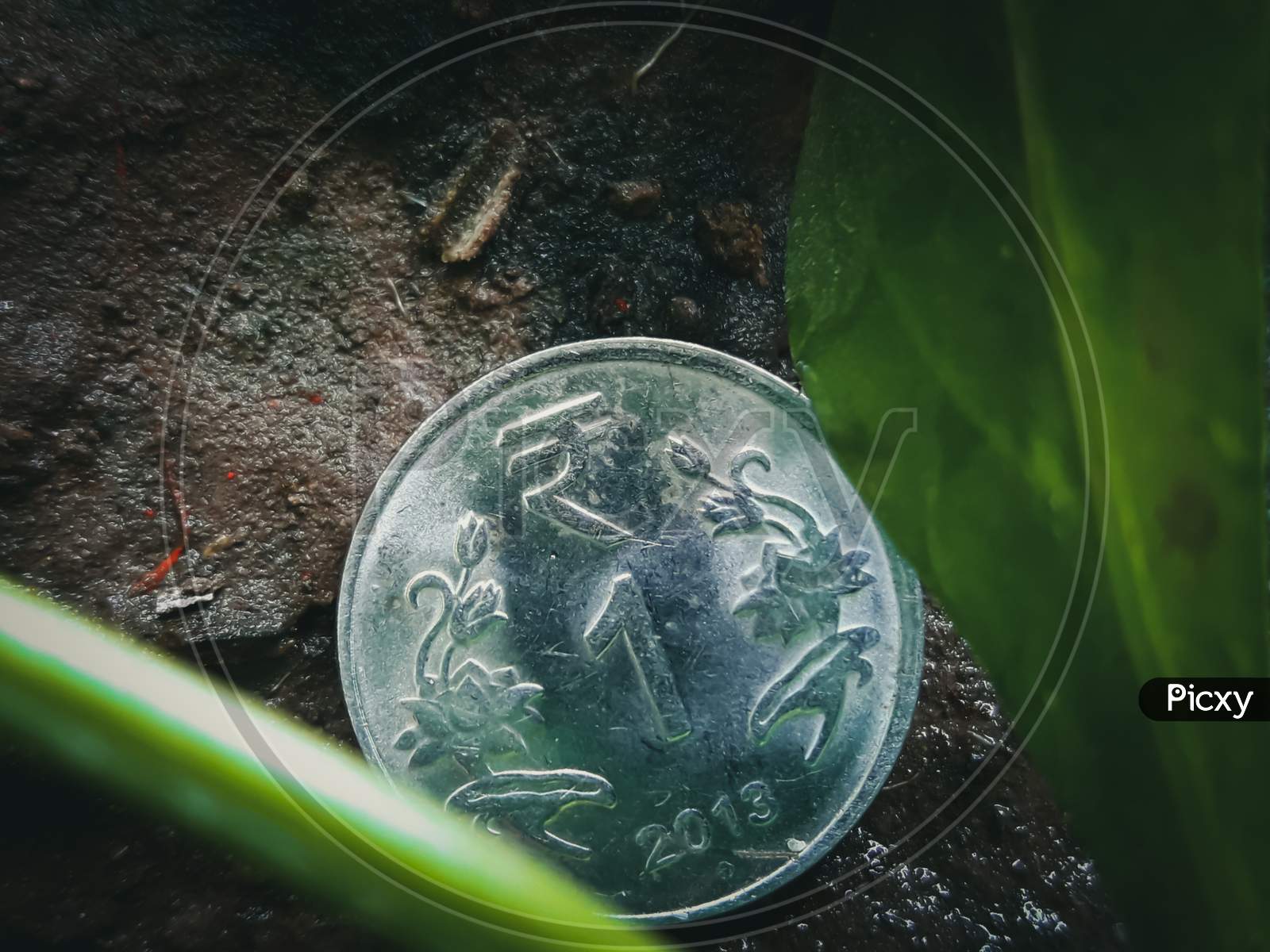 1 Rupee Coin In The Soil With Leaves
