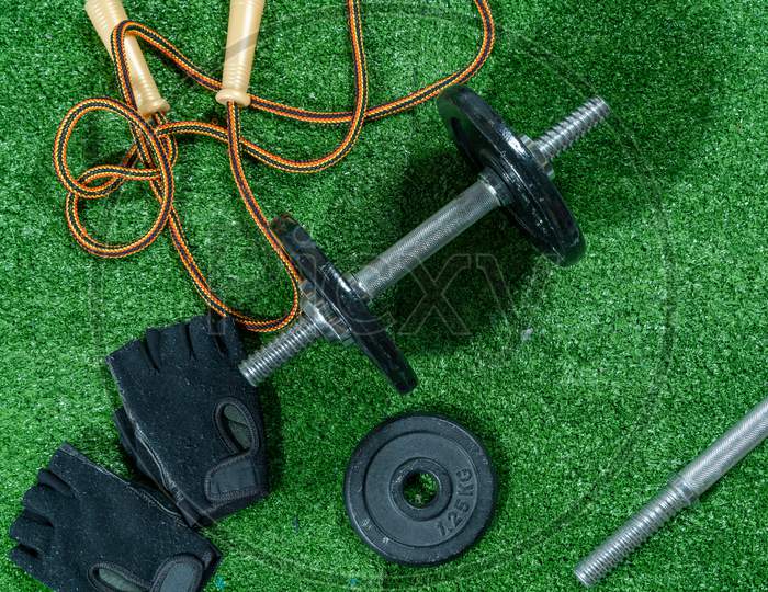 Dumbbells, Weight Discs, Gloves And Accessories For Sport, On The Grass, Fitness.